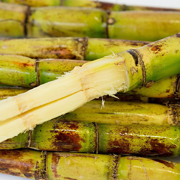 SOURCING THE FINEST INGREDIENTS